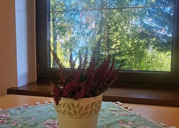 Szepty Lasu 3* شكلارسكا بوريبا